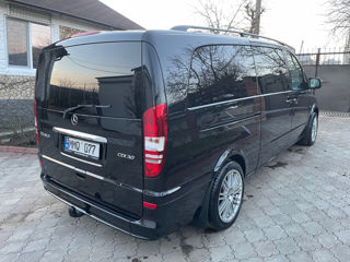 Mercedes Viano foto 5