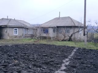 Продаю дом в г. Сынжерей. Vind casa in or. Sîngerei (Lazovsk) foto 5