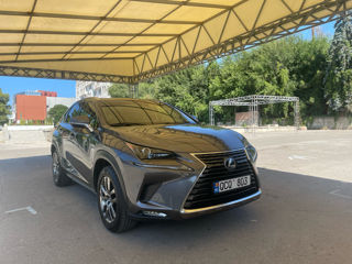 Lexus NX Series