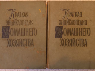 Краткая Энциклопедия домашнего хозяйства в 2 томах 1959 года 200 лей