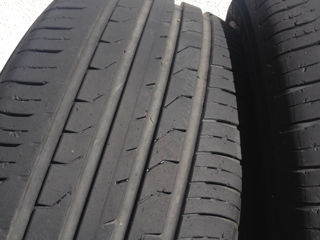 Maxxis Permitra 245/50/ZR18 лето foto 5