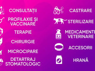 Clinică Farmacie Veterinară "Valivet" foto 3