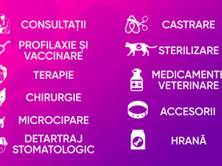 Clinică Farmacie Veterinară "Valivet" foto 4