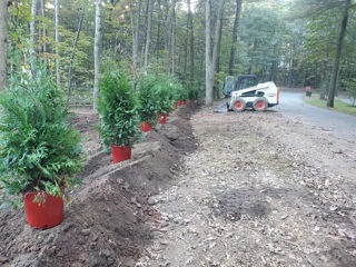 Bobcat Excavator Servicii de terasament foto 5