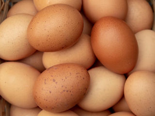 Ouă de găină