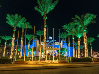 Egypt! Sharm! Grand Oasis Resort 4+! Din 13.09 - 6 nopti! foto 8