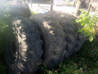 ЗИЛ 131 foto 1