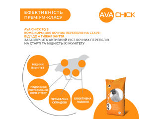 AVA Chick TQ S - стартовый комбикорм для яичных перепелов foto 3