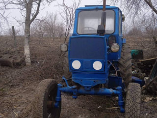 Tractorul e nahadu foto 2