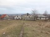 De vânzare! Продаю дом с большим участком в Максимовке 15 км от Кишинева! foto 9