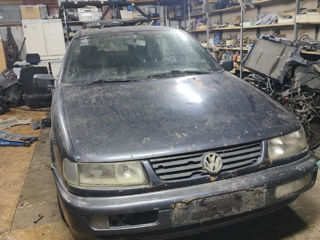 Volkswagen Passat foto 9