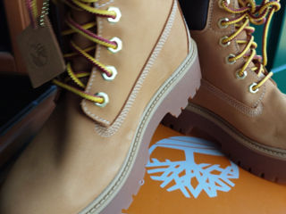 Timberland foto 3