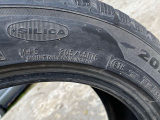 205/55 R16 Avon foto 2