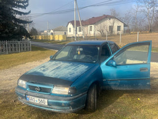 Opel Vectra foto 7