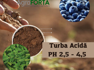 Turba acida 300Litre p/u afine/coniferi foto 2