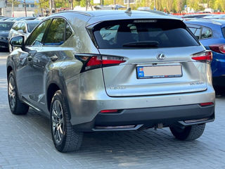 Lexus NX Series foto 5