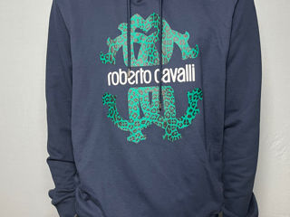 Hanorac Roberto Cavalli