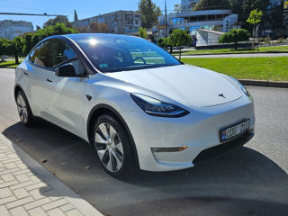 Tesla Model Y foto 3