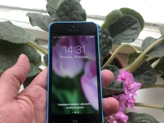 iPhone 5C  16GB  Blue foto 3