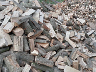 Vind lemne dischicate speci tari ,livrarea gratuita foto 1