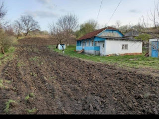 Vind casă statul Sireti,prețul  se negociază foto 6