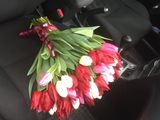 Trandafiri si Lalele de la 20 lei. Livrare Chisinau! foto 3
