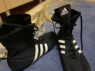 Продам боксерки Adidas hog 2 46-го размера foto 3