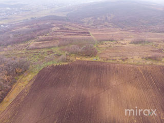 com. Ghidighici, Chișinău, Moldova foto 10