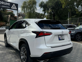 Lexus NX Series foto 5