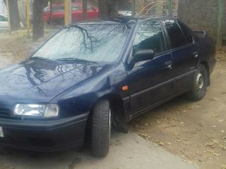 Nissan Primera foto 2