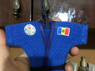 Accesoriu personalizat , Mini judo,Sambo,BJJ toate culorile ! foto 7