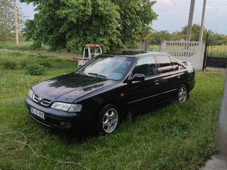 Nissan Primera