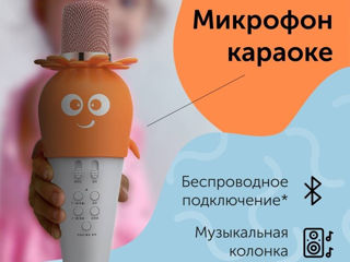 Микрофон-колонка/ караоке детский микрофон с bluetooth для детей/ karaoke microfon copii foto 6