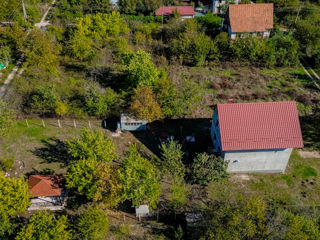 Casa-Vilă, Dănceni. foto 20