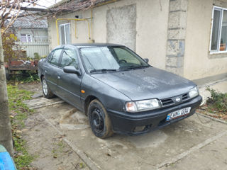 Nissan Primera foto 10