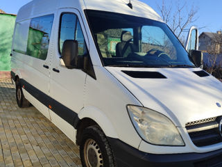 Mercedes Sprinter delfini foto 4