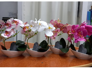 Орхидея искусственная. Цветет круглый год! foto 1