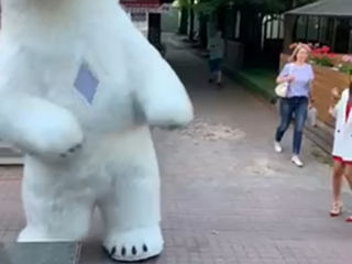 Белые медведи 3,5 и 2,5  м .Ursul . foto 3