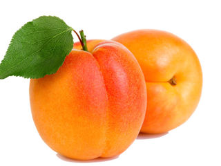 Куплю абрикос и персик на самогон