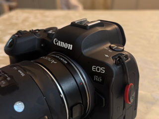 Canon r6 foto 2