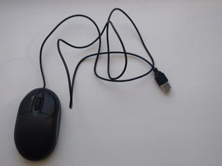 Mouse foto 1