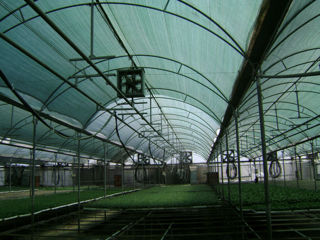 Plasa De Umbrire Grad:75%, 70Gr, H:6M (Verde)/50 - 80 - livrare / credit / agroteh foto 4