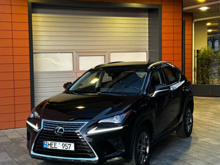 Lexus NX Series