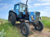 Tractor/трактор мтз 80 foto 2