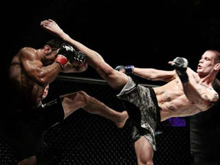 ММА. Смешанные единоборства. MMA Arte martiale mixte foto 18