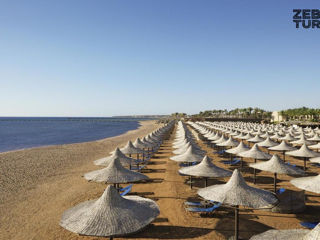 Egipt, Sharm El Sheikh - Jaz Mirabel Beach 5* foto 5