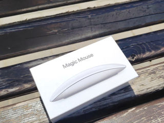 Magic mouse foto 1
