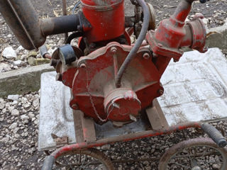 Moto pompa mp 800/ мотопомпа мп-800 ieftin foto 0