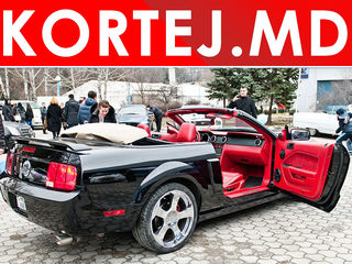 Кабрио Ford Mustang - лимузины, бизнес класс, внедорожники - более 250 авто для торжеств! foto 2