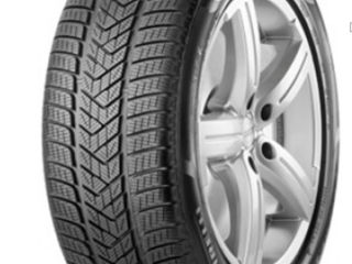 Pirelli Scorpion 265/55/R19 foto 1